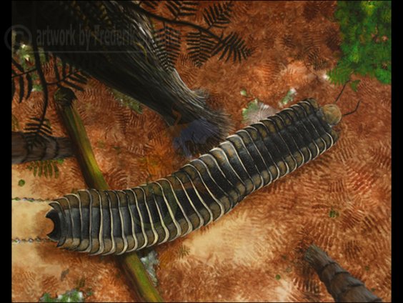 Life of the Carboniferous