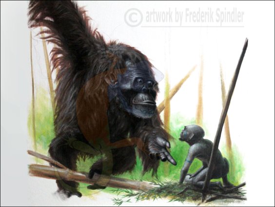 'Sméagol and the Kong'