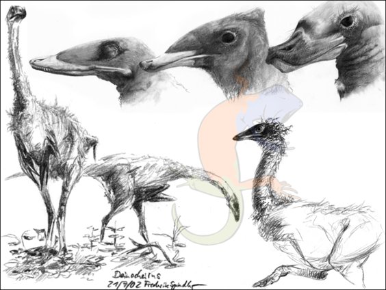 Ornithomimosauria