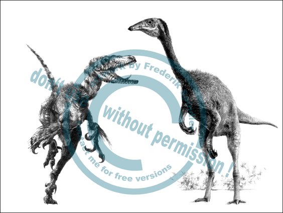 Velociraptorine & *Deinocheirus*