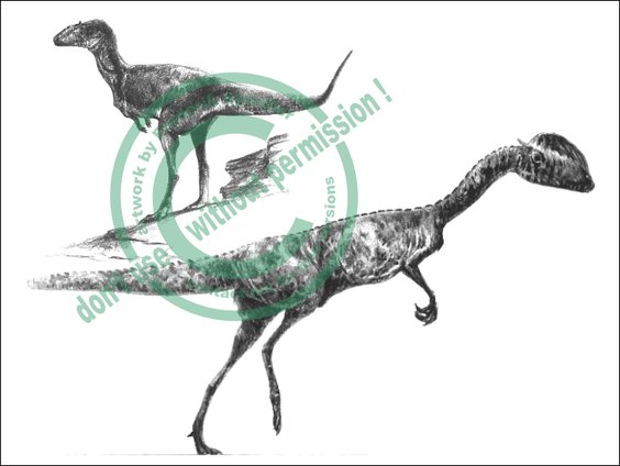 *Ilokelesia* & *Dilophosaurus*