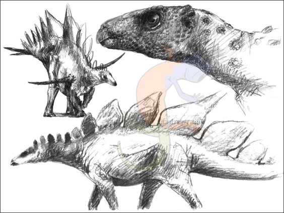 *Emausaurus*, *Stegosaurus*