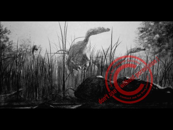 Dromaeosauriden & *Koolasuchus*