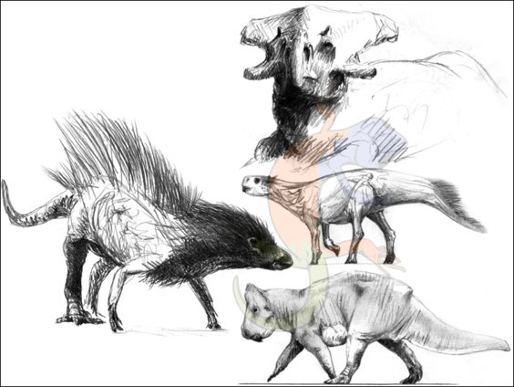 early ceratopsian evolution