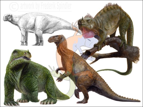*Iguanodon* historical series