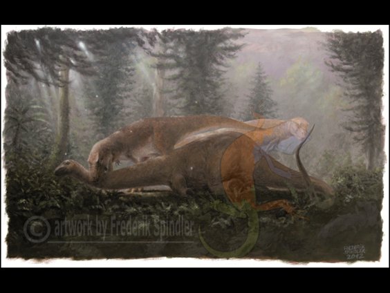 *Giganotosaurus* & *Limaysaurus*