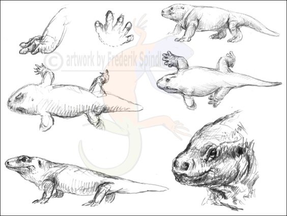 Early Permian sketches III