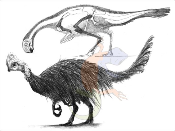 Oviraptorosauria