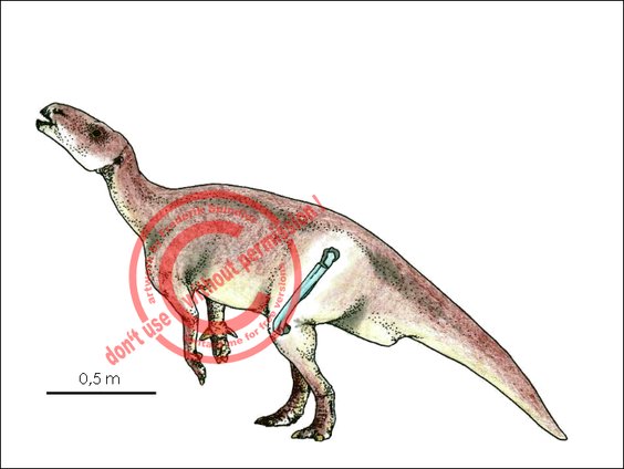 Iguanodontide
