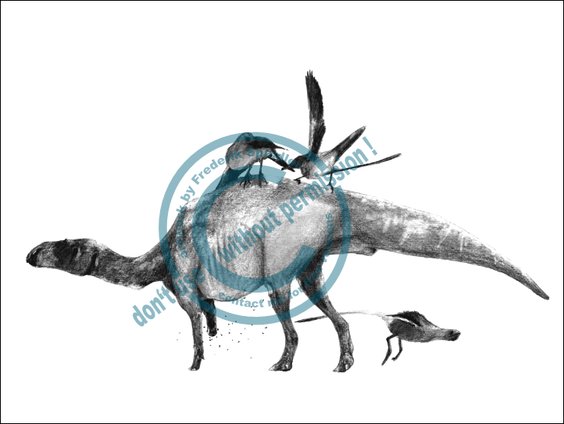 *Prosaurolophus*