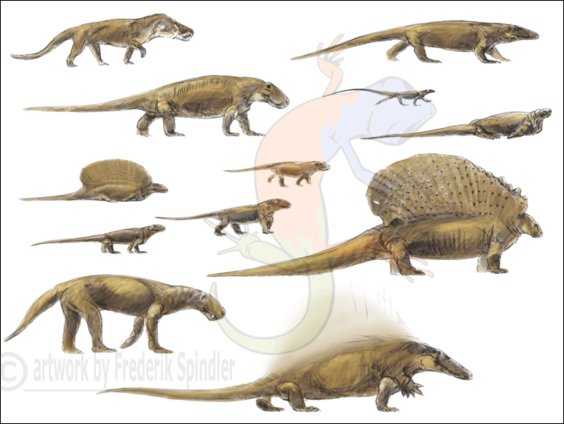 early synapsids